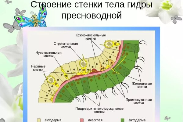 Кракен 17 вход
