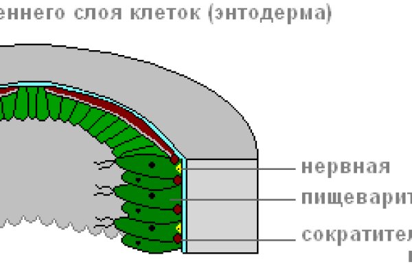 Кракен ссылка зайти