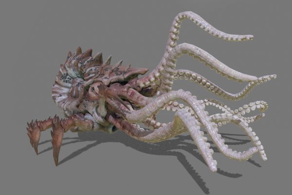 Как зайти на kraken маркетплейс