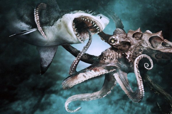 Kraken cc ссылка
