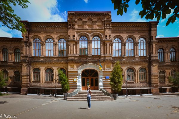 Через какой браузер можно зайти на кракен